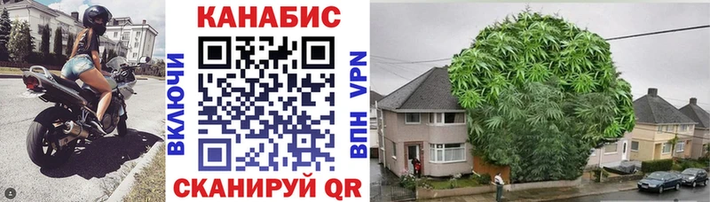 Каннабис OG Kush  Куса 